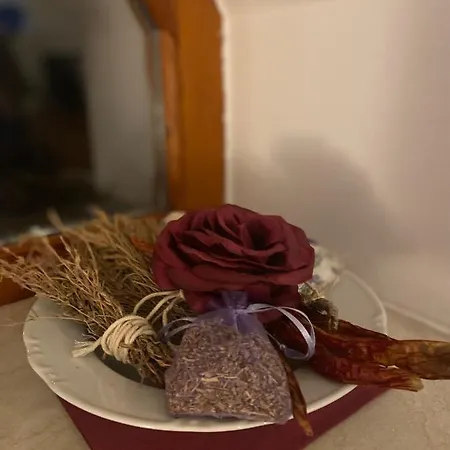 Restaurace U Vlkove *
